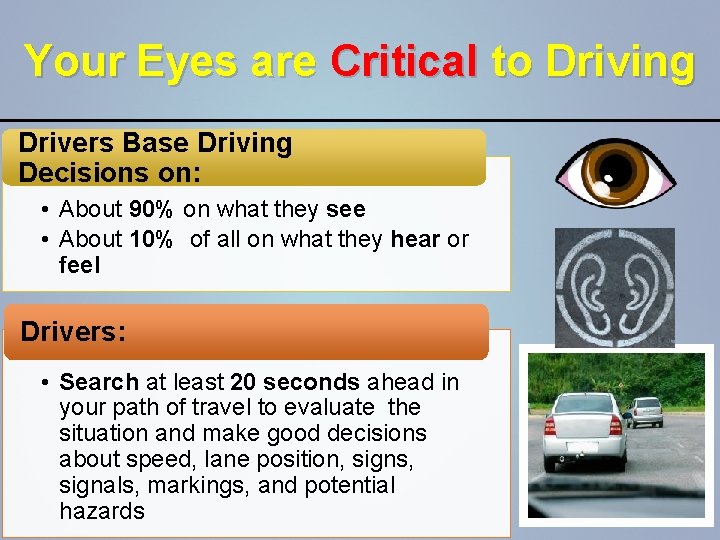 Your Eyes are Critical to Driving Drivers Base Driving Decisions on: • About 90%