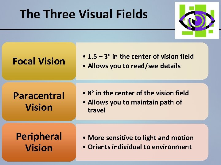 The Three Visual Fields Focal Vision • 1. 5 – 3º in the center