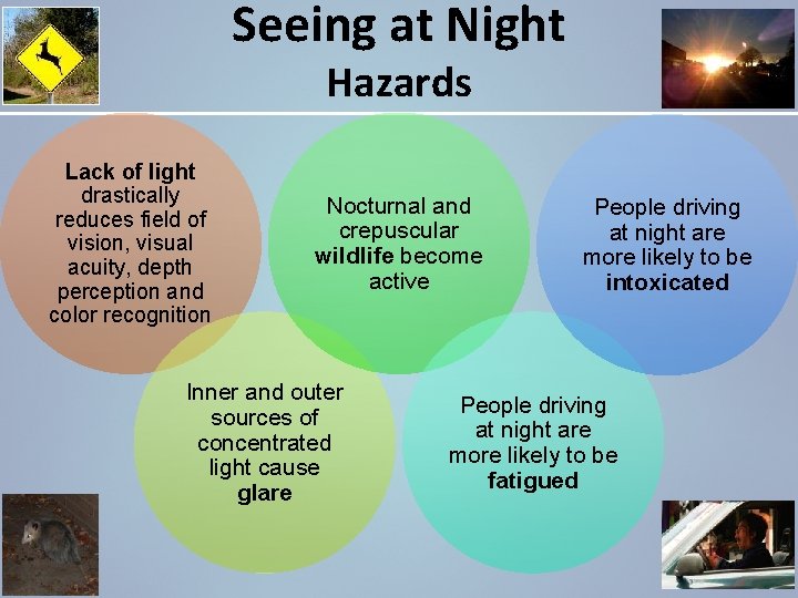 Seeing at Night Hazards Lack of light drastically reduces field of vision, visual acuity,
