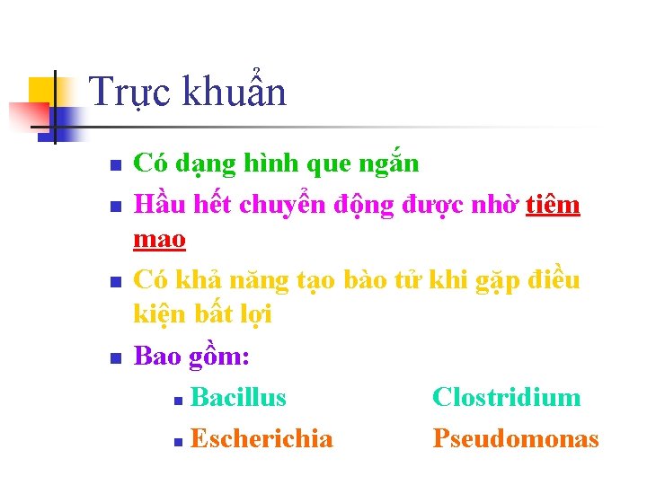Trực khuẩn n n Có dạng hình que ngắn Hầu hết chuyển động được