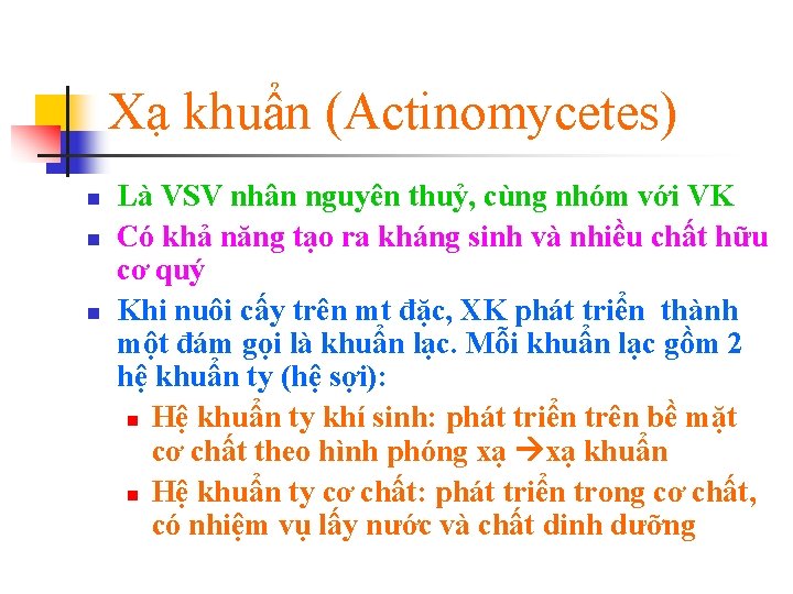Xạ khuẩn (Actinomycetes) n n n Là VSV nhân nguyên thuỷ, cùng nhóm với