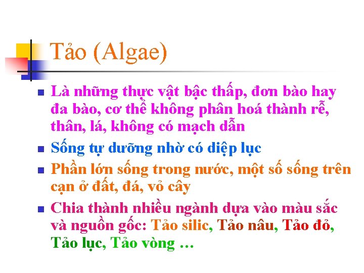 Tảo (Algae) n n Là những thực vật bậc thấp, đơn bào hay đa