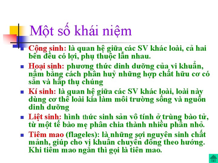 Một số khái niệm n n n Cộng sinh: là quan hệ giữa các