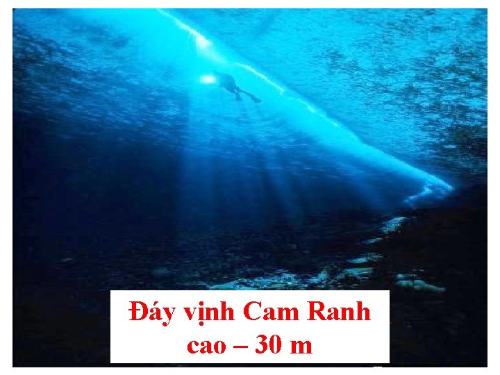 Đáy vịnh Cam Ranh cao – 30 m Đáy vịnh Cam Ranh cao – 30 m