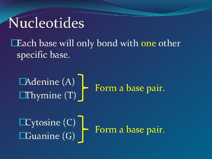 Nucleotides �Each base will only bond with one other specific base. �Adenine (A) �Thymine