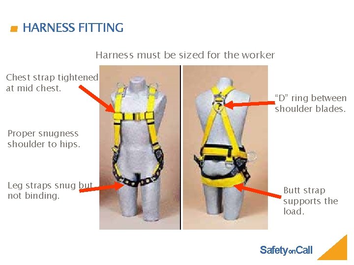 HARNESS FITTING Harness must be sized for the worker Chest strap tightened at mid