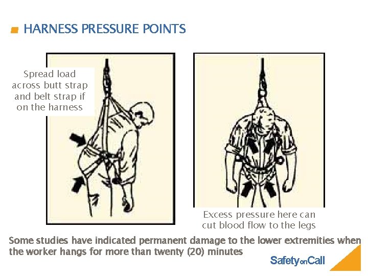 HARNESS PRESSURE POINTS Spread load across butt strap and belt strap if on the
