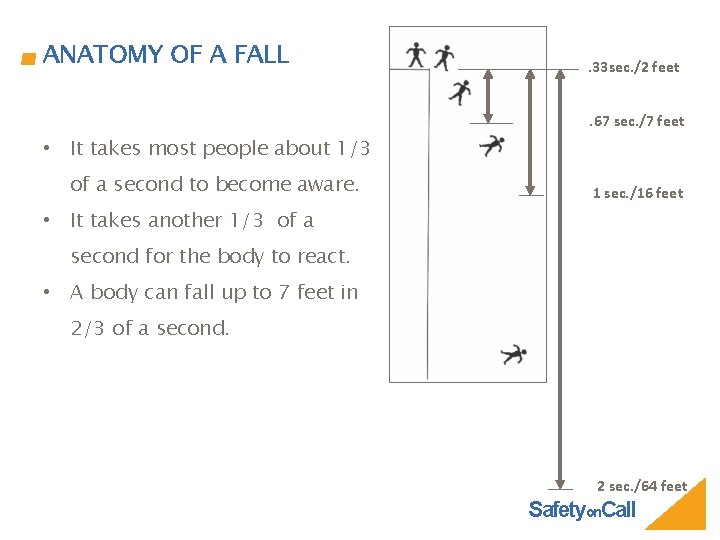 ANATOMY OF A FALL . 33 sec. /2 feet. 67 sec. /7 feet •