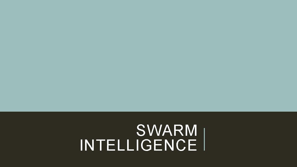 SWARM INTELLIGENCE 