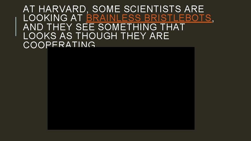 AT HARVARD, SOME SCIENTISTS ARE LOOKING AT BRAINLESS BRISTLEBOTS, AND THEY SEE SOMETHING THAT