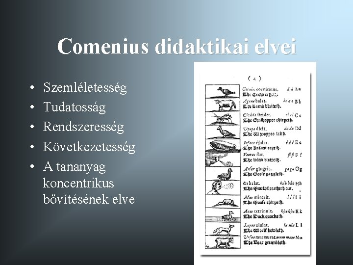 Comenius didaktikai elvei • • • Szemléletesség Tudatosság Rendszeresség Következetesség A tananyag koncentrikus bővítésének