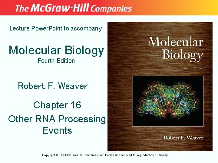 Lecture Power. Point to accompany Molecular Biology Fourth Edition Robert F. Weaver Chapter 16