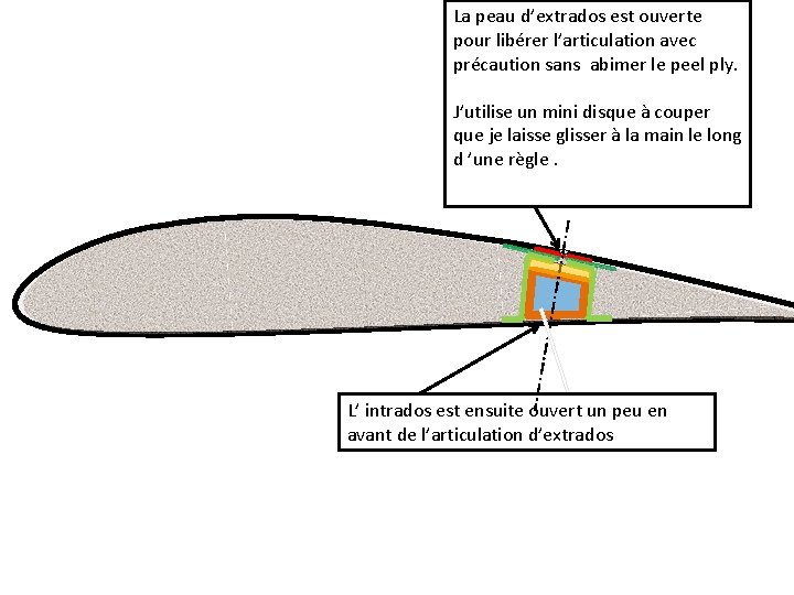 La peau d’extrados est ouverte pour libérer l’articulation avec précaution sans abimer le peel