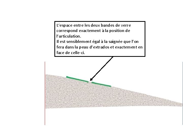 L’espace entre les deux bandes de verre correspond exactement à la position de l’articulation.