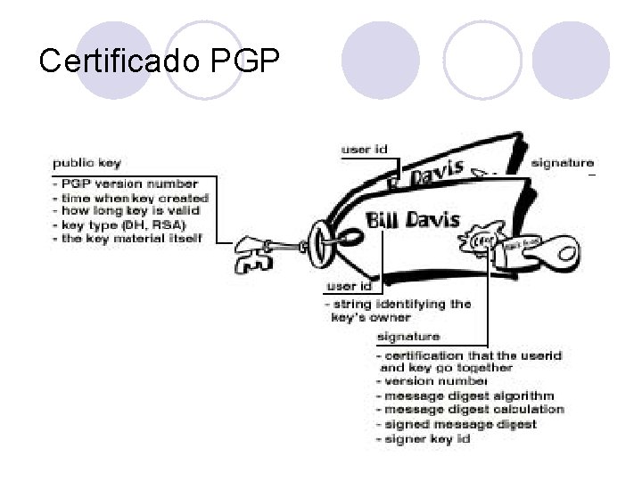 Certificado PGP 