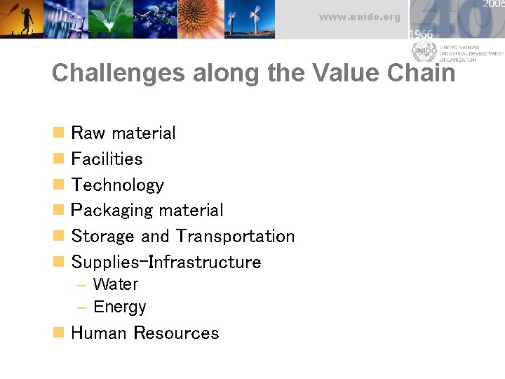 www. unido. org Challenges along the Value Chain n n n Raw material Facilities