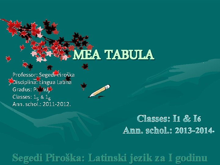 MEA TABULA Professor: Segedi Piroška Disciplina: Lingua Latina Gradus: Primus Classes: 15 & 16