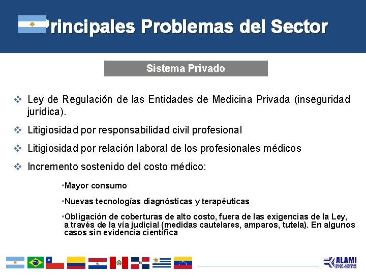 Principales Problemas del Sector Sistema Privado v Ley de Regulación de las Entidades de