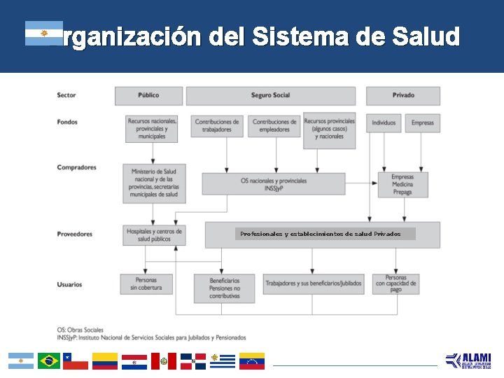 Organización del Sistema de Salud Profesionales y establecimientos de salud Privados 