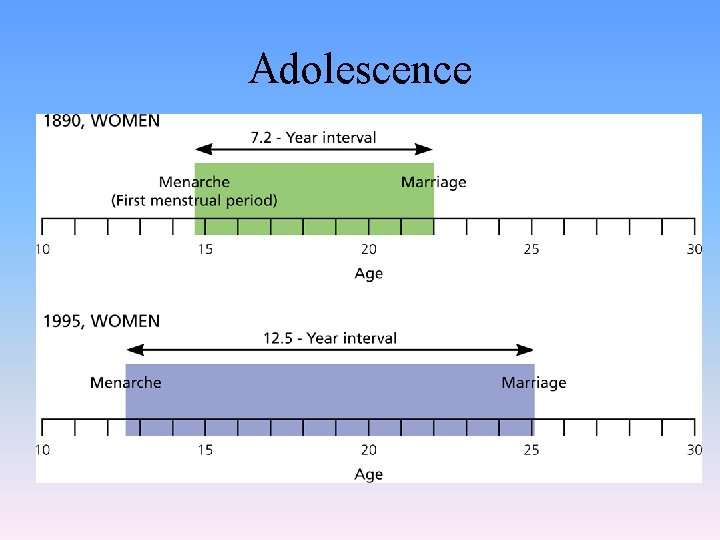 Adolescence 