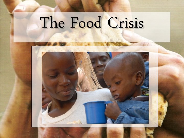 The Food Crisis 