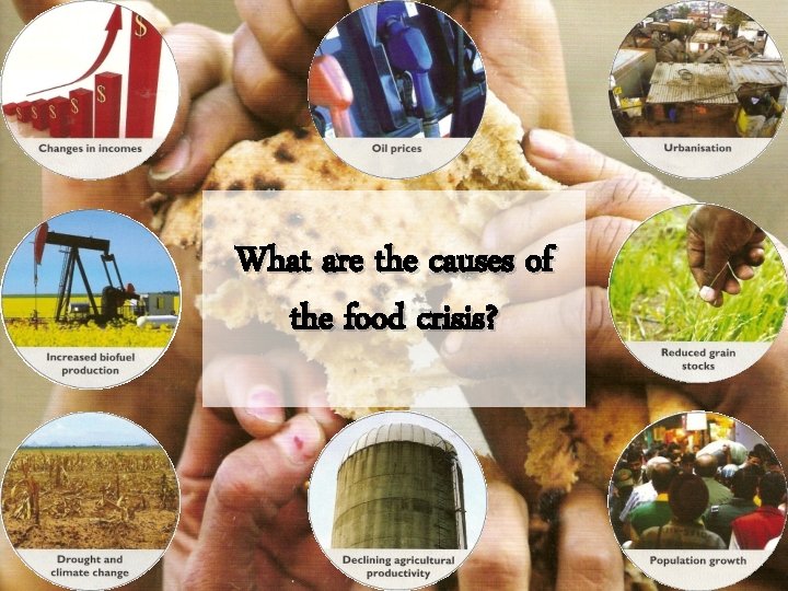 What are the causes of the food crisis? 