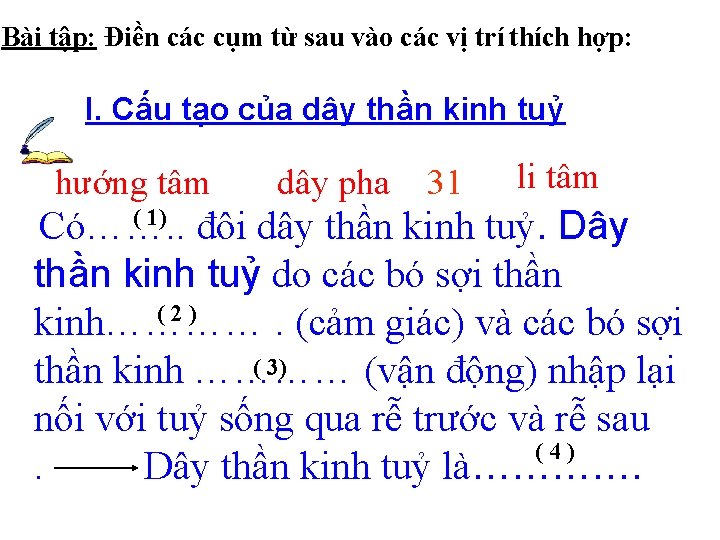 Bài tập: Điền các cụm từ sau vào các vị trí thích hợp: I.