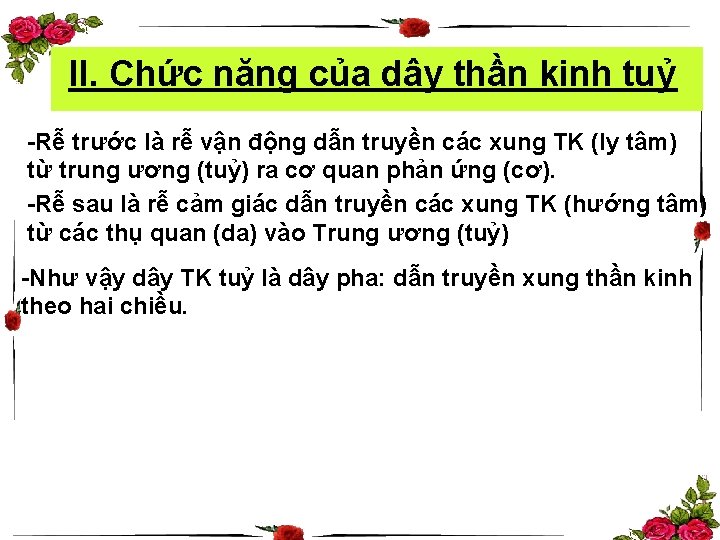 II. Chức năng của dây thần kinh tuỷ -Rễ trước là rễ vận động