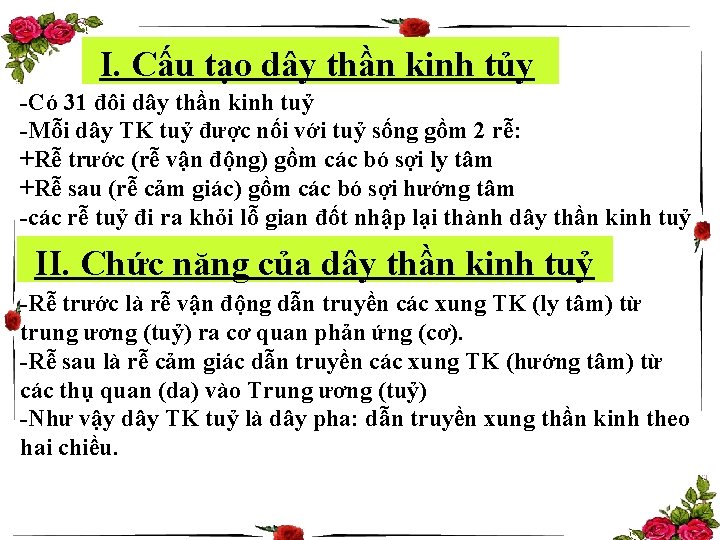 I. Cấu tạo dây thần kinh tủy -Có 31 đôi dây thần kinh tuỷ