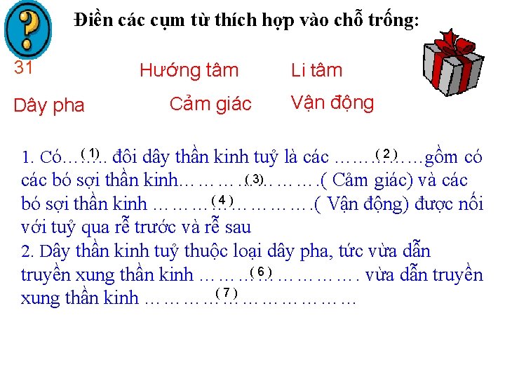 Điền các cụm từ thích hợp vào chỗ trống: 31 Dây pha Hướng tâm