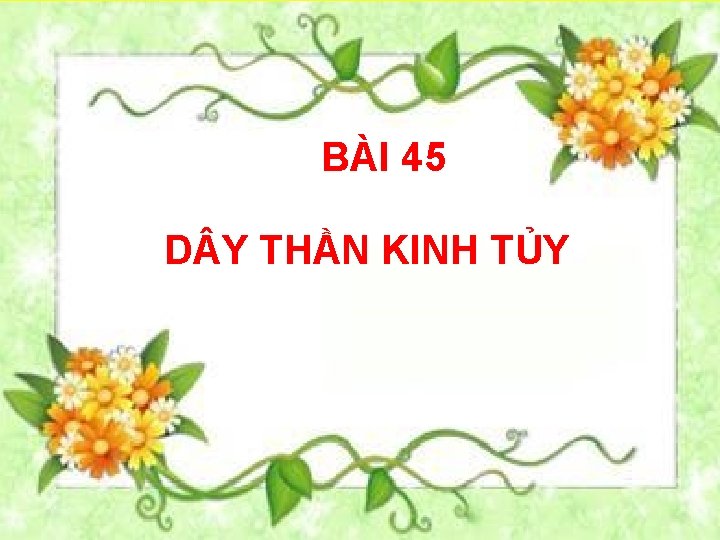 BÀI 45 D Y THẦN KINH TỦY 