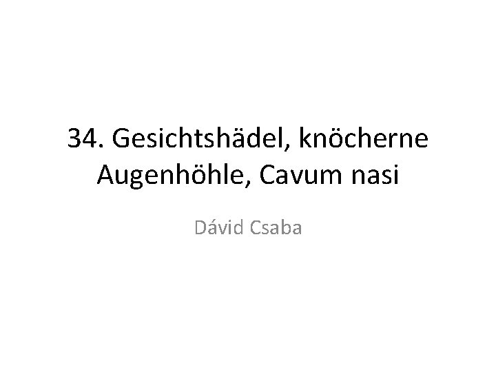 34. Gesichtshädel, knöcherne Augenhöhle, Cavum nasi Dávid Csaba 
