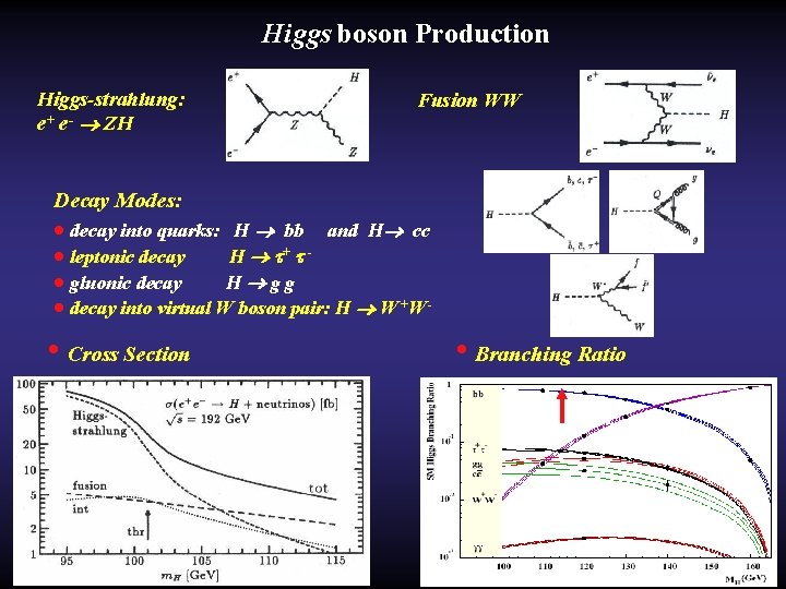 Higgs boson Production Higgs-strahlung: e+ e- ZH Fusion WW Decay Modes: · decay into