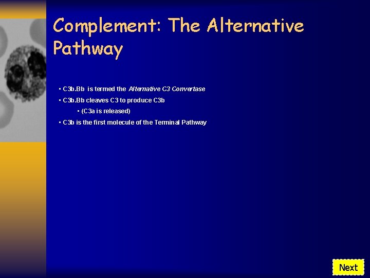 Complement: The Alternative Pathway • C 3 b. Bb is termed the Alternative C