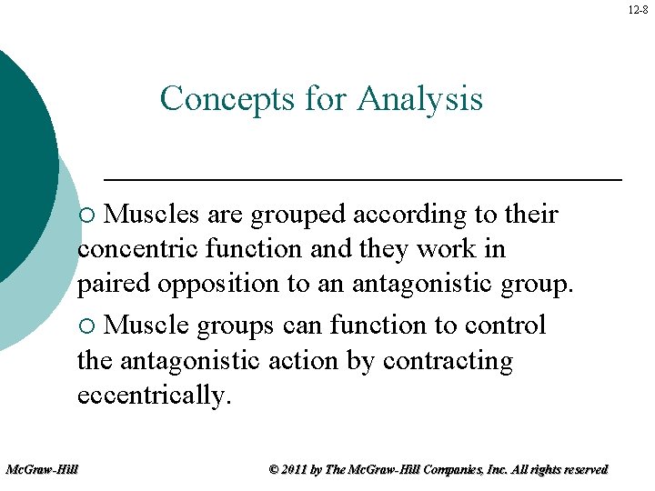 12 -8 Concepts for Analysis Muscles are grouped according to their concentric function and