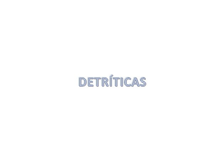 DETRÍTICAS 