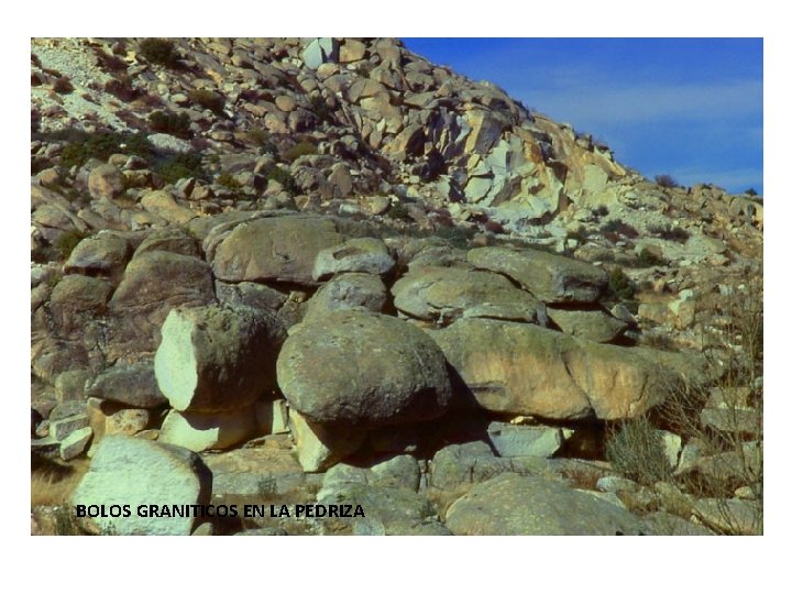 BOLOS GRANITICOS EN LA PEDRIZA 