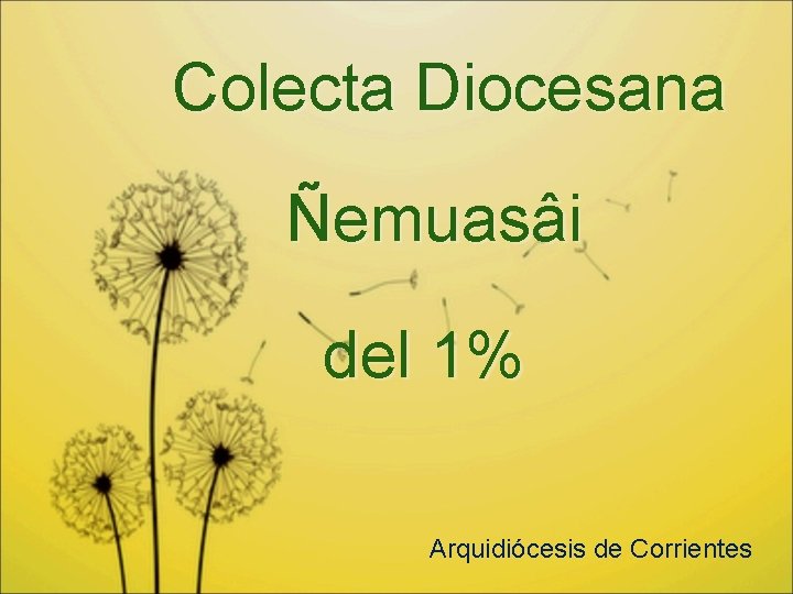 Colecta Diocesana Ñemuasâi del 1% Arquidiócesis de Corrientes 