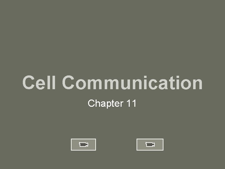 Cell Communication Chapter 11 