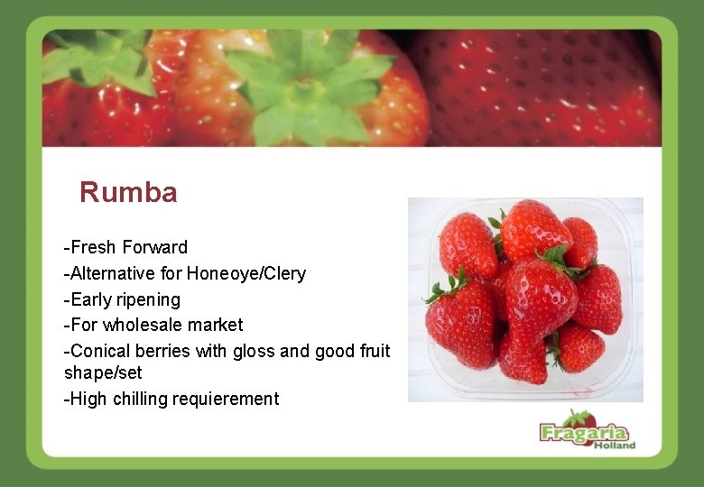 Rumba -Fresh Forward -Alternative for Honeoye/Clery -Early ripening -For wholesale market -Conical berries with