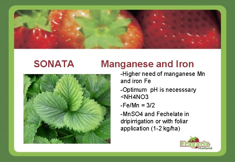 SONATA Manganese and Iron -Higher need of manganese Mn and iron Fe -Optimum p.