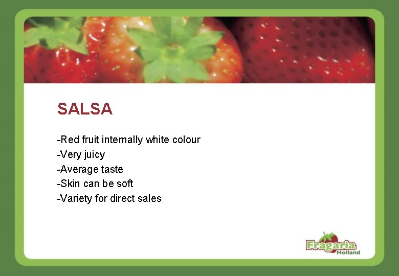 SALSA -Red fruit internally white colour -Very juicy -Average taste -Skin can be soft