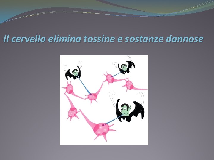 Il cervello elimina tossine e sostanze dannose 