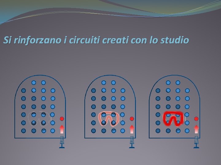 Si rinforzano i circuiti creati con lo studio 