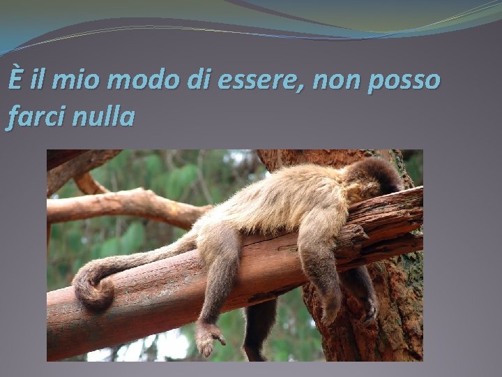 È il mio modo di essere, non posso farci nulla 