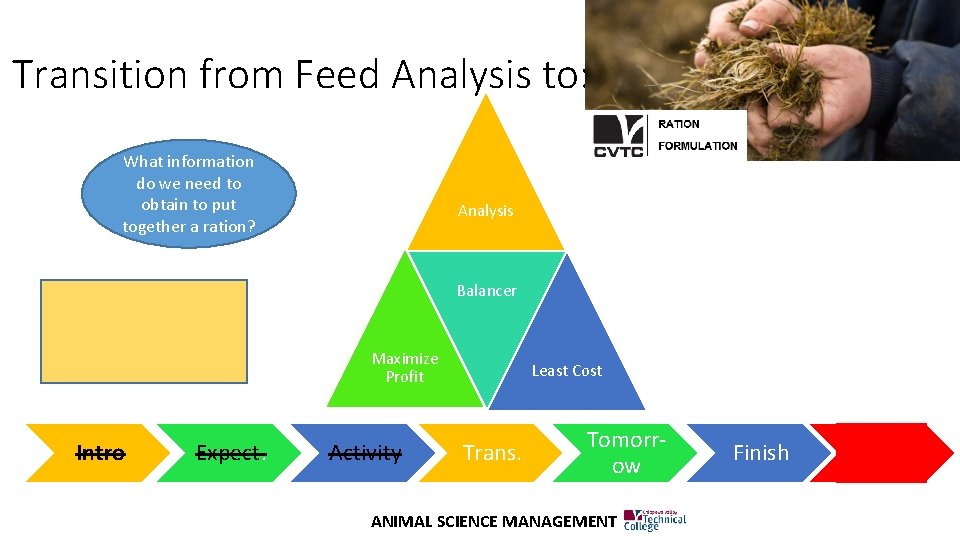 Transition from Feed Analysis to: What information do we need to obtain to put