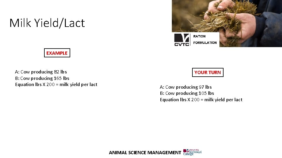 Milk Yield/Lact EXAMPLE A: Cow producing 82 lbs B: Cow producing 165 lbs Equation