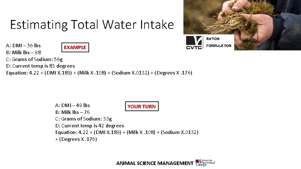 Estimating Total Water Intake A: DMI – 56 lbs EXAMPLE B: Milk lbs –