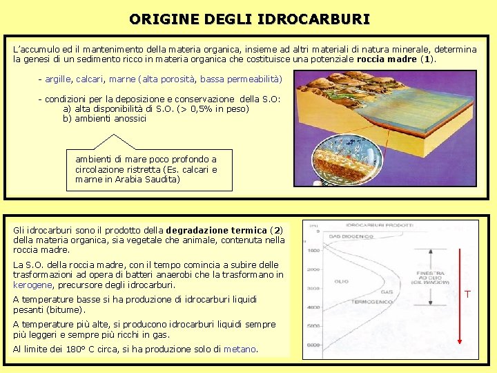 ORIGINE DEGLI IDROCARBURI L’accumulo ed il mantenimento della materia organica, insieme ad altri materiali