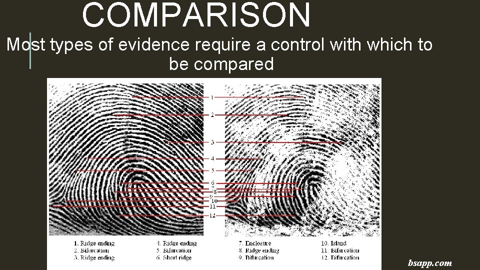 COMPARISON Most types of evidence require a control with which to be compared bsapp.